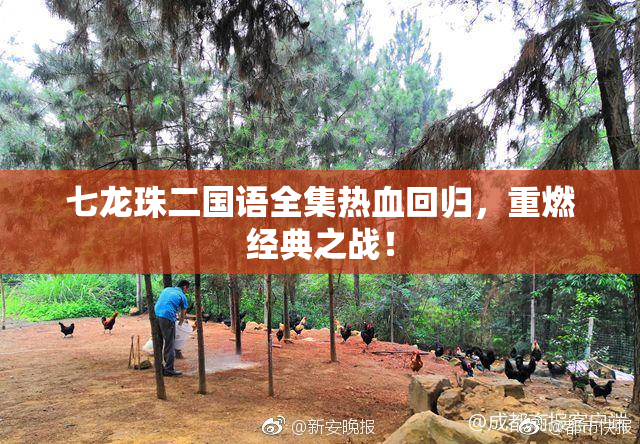 七龙珠二国语全集热血回归，重燃经典之战！