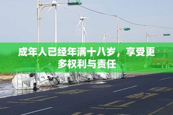 成年人已经年满十八岁，享受更多权利与责任