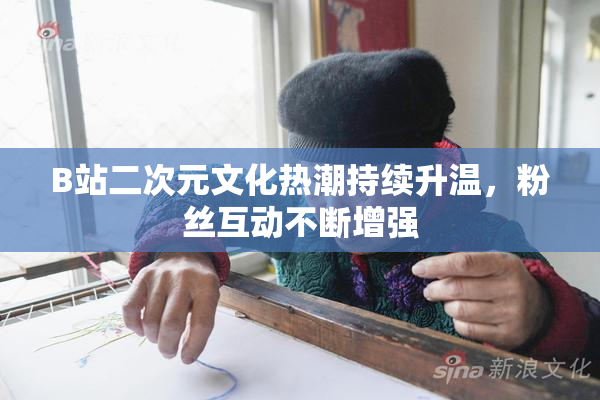B站二次元文化热潮持续升温，粉丝互动不断增强