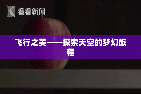 飞行之美——探索天空的梦幻旅程