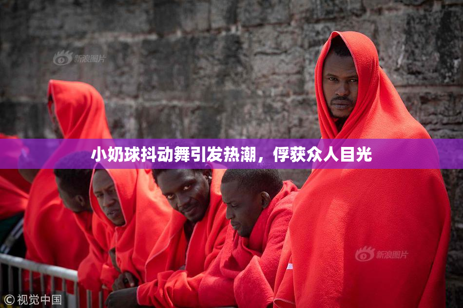 小奶球抖动舞引发热潮，俘获众人目光