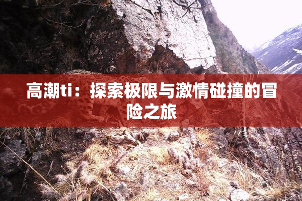 高潮ti：探索极限与激情碰撞的冒险之旅
