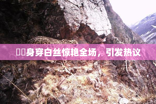 妺妺身穿白丝惊艳全场，引发热议