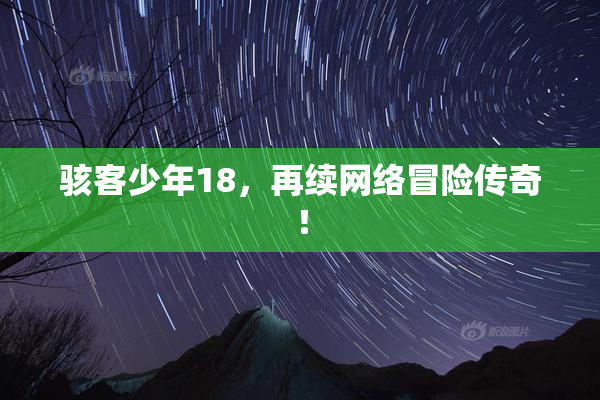 骇客少年18，再续网络冒险传奇！
