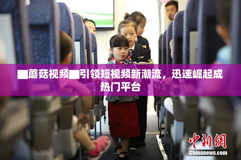 ▇蘑菇视频▇引领短视频新潮流，迅速崛起成热门平台