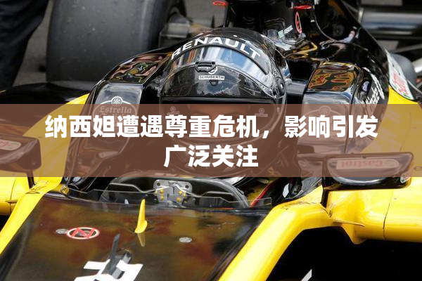 纳西妲遭遇尊重危机，影响引发广泛关注