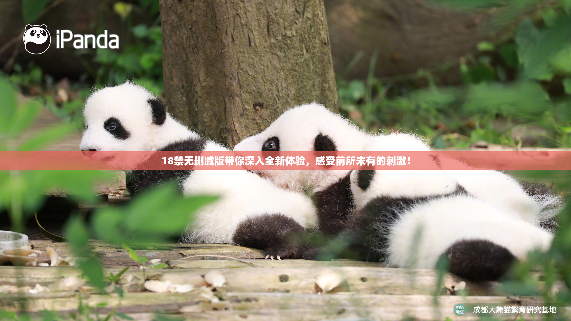 18禁无删减版带你深入全新体验，感受前所未有的刺激！
