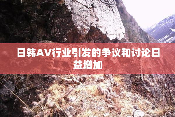 日韩AV行业引发的争议和讨论日益增加