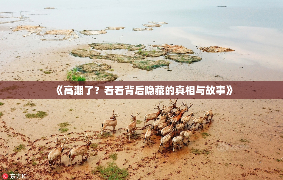 《高潮了？看看背后隐藏的真相与故事》