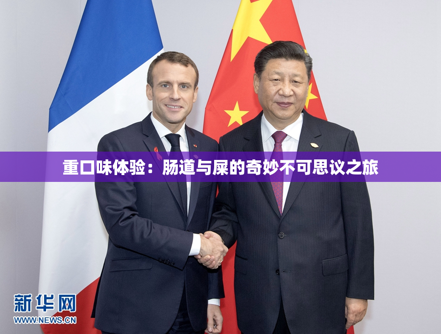 重口味体验：肠道与屎的奇妙不可思议之旅
