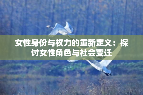 女性身份与权力的重新定义：探讨女性角色与社会变迁