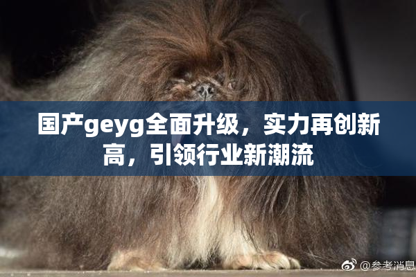 国产geyg全面升级，实力再创新高，引领行业新潮流