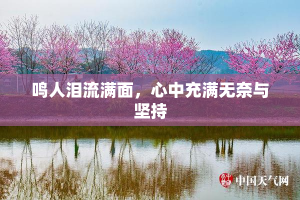 鸣人泪流满面，心中充满无奈与坚持