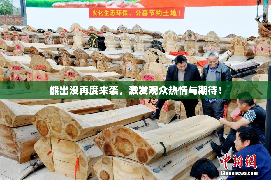 熊出没再度来袭，激发观众热情与期待！