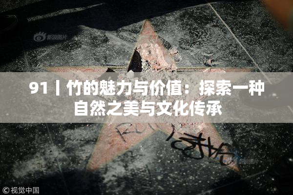 91丨竹的魅力与价值：探索一种自然之美与文化传承