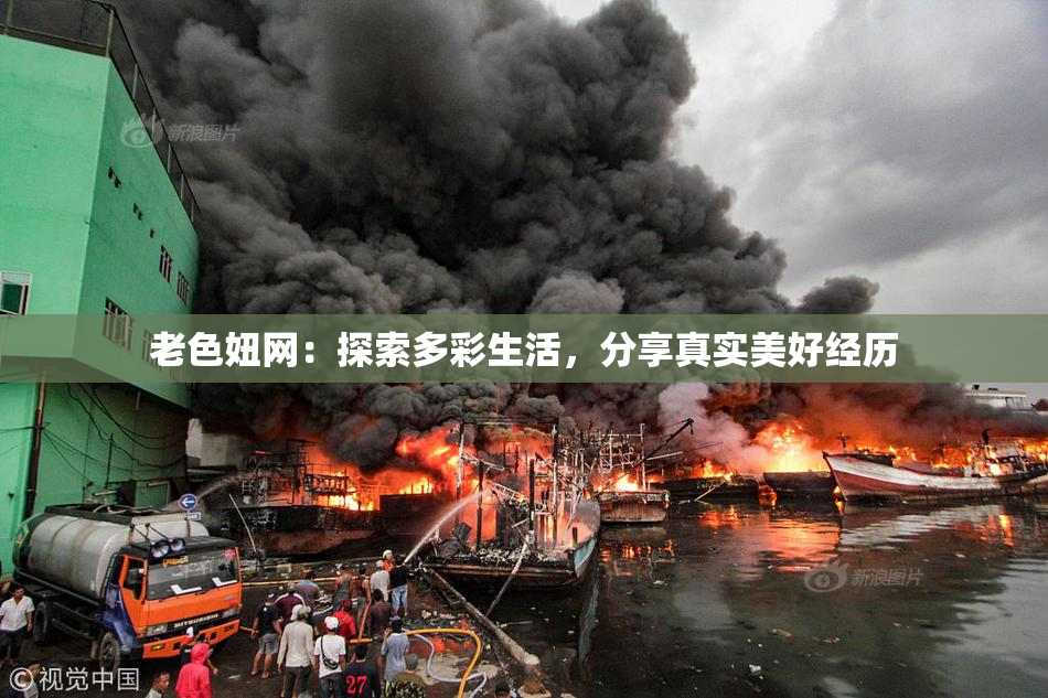 老色妞网：探索多彩生活，分享真实美好经历