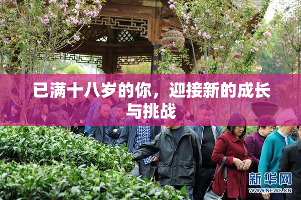 已满十八岁的你，迎接新的成长与挑战