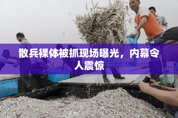 散兵裸体被抓现场曝光，内幕令人震惊