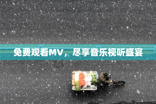 免费观看MV，尽享音乐视听盛宴