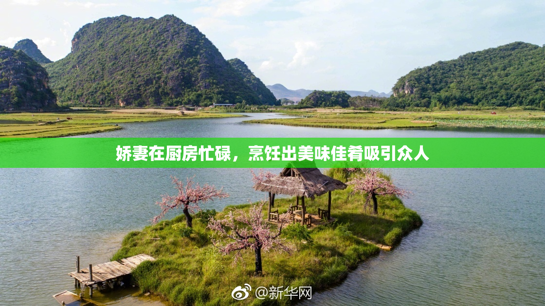 娇妻在厨房忙碌，烹饪出美味佳肴吸引众人