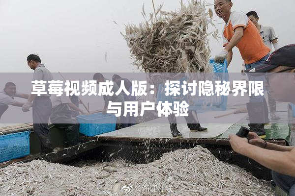 草莓视频成人版：探讨隐秘界限与用户体验
