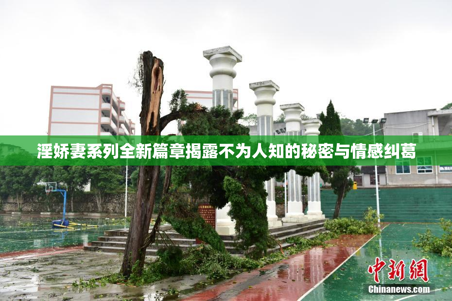 淫娇妻系列全新篇章揭露不为人知的秘密与情感纠葛