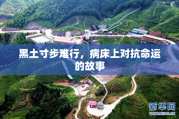 黑土寸步难行，病床上对抗命运的故事