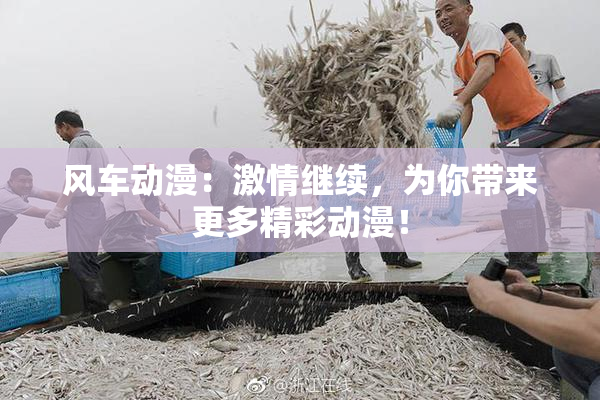 风车动漫：激情继续，为你带来更多精彩动漫！