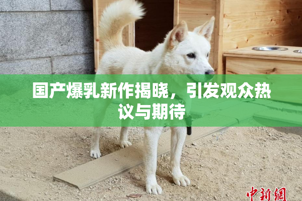 国产爆乳新作揭晓，引发观众热议与期待