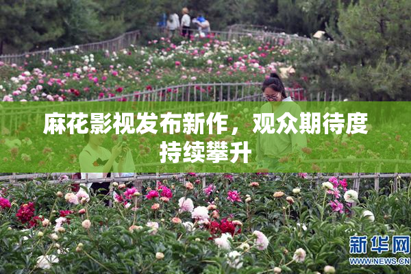 麻花影视发布新作，观众期待度持续攀升