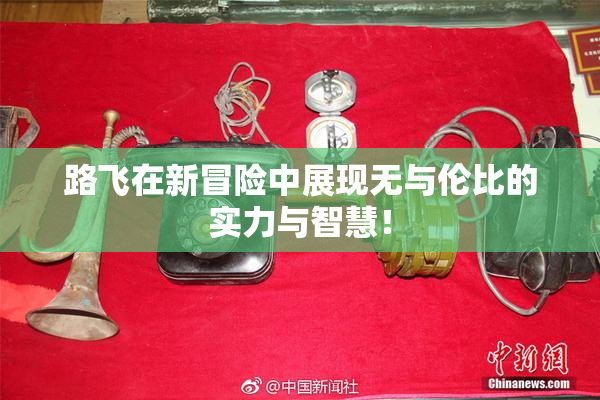 路飞在新冒险中展现无与伦比的实力与智慧！