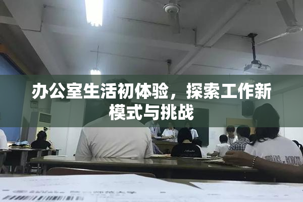 办公室生活初体验，探索工作新模式与挑战