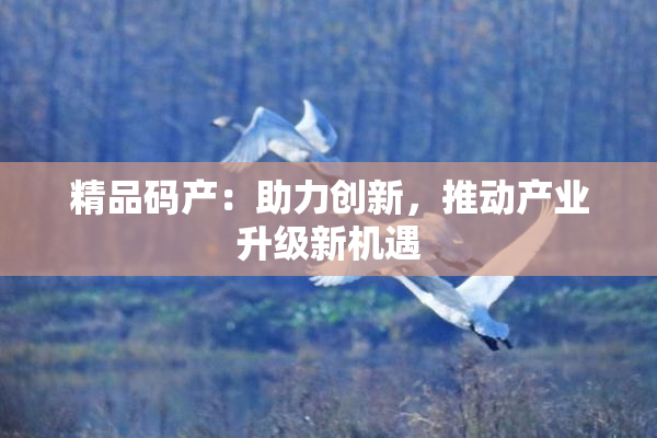 精品码产：助力创新，推动产业升级新机遇