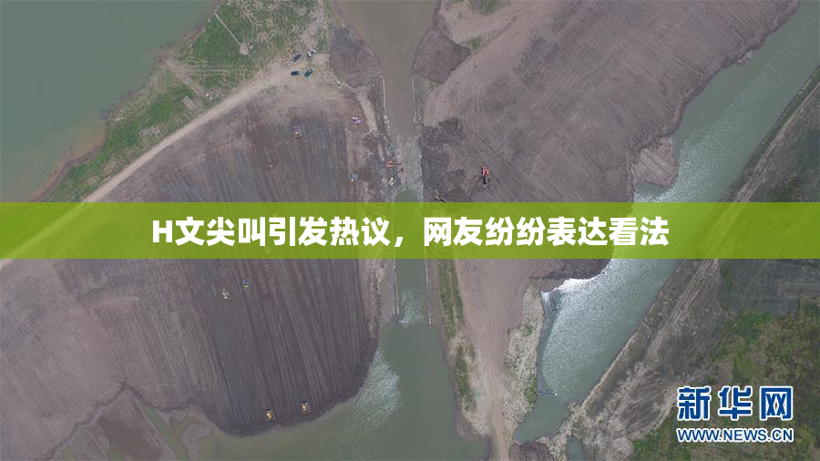 H文尖叫引发热议，网友纷纷表达看法