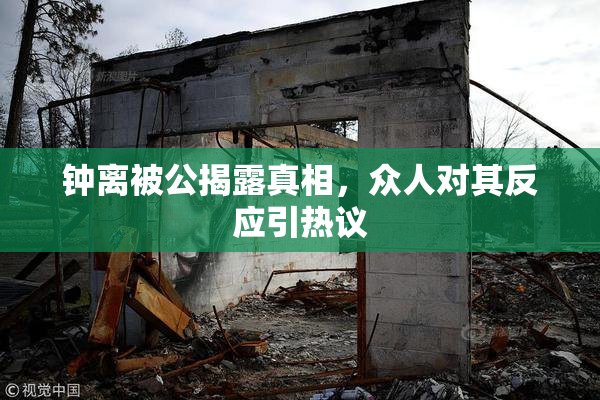 钟离被公揭露真相，众人对其反应引热议