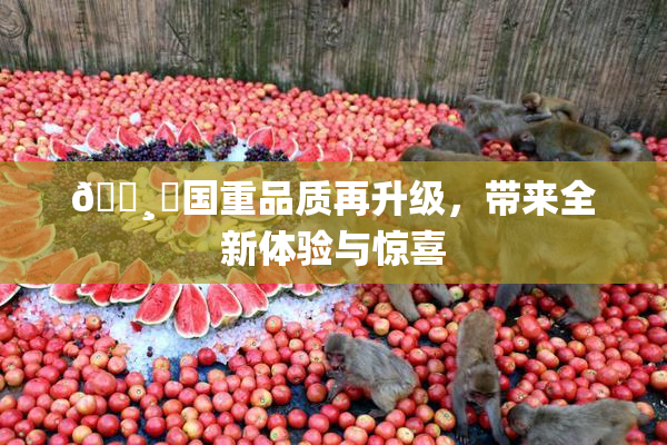 🌸‌国重品质再升级，带来全新体验与惊喜