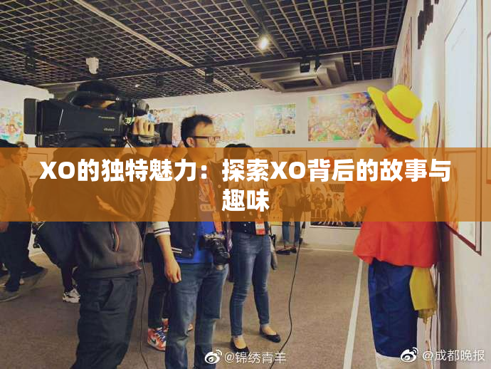 XO的独特魅力：探索XO背后的故事与趣味