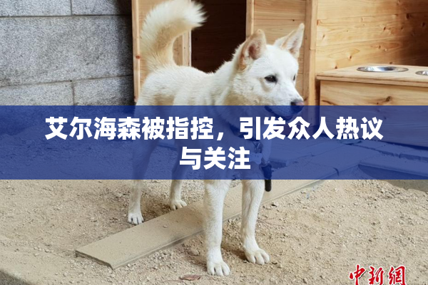 艾尔海森被指控，引发众人热议与关注
