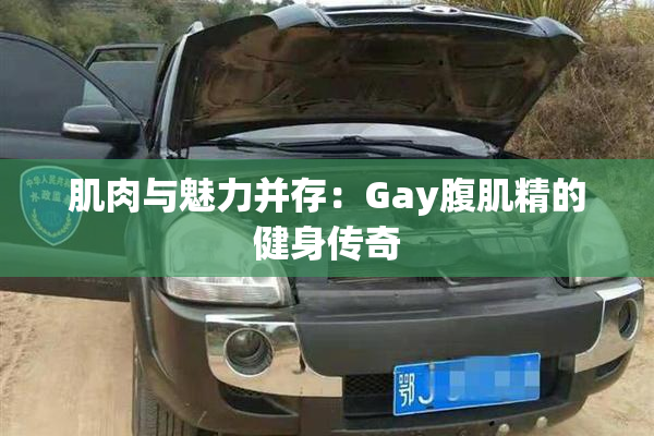 肌肉与魅力并存：Gay腹肌精的健身传奇