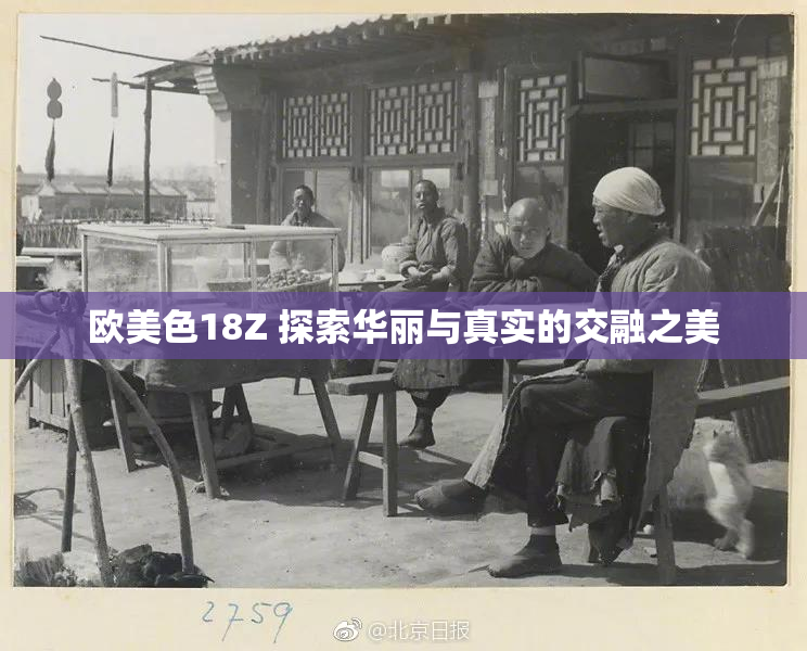欧美色18Z 探索华丽与真实的交融之美