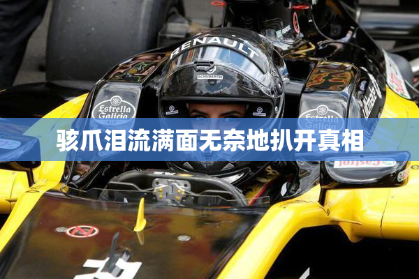 骇爪泪流满面无奈地扒开真相