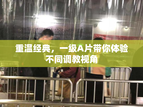 重温经典，一级A片带你体验不同调教视角