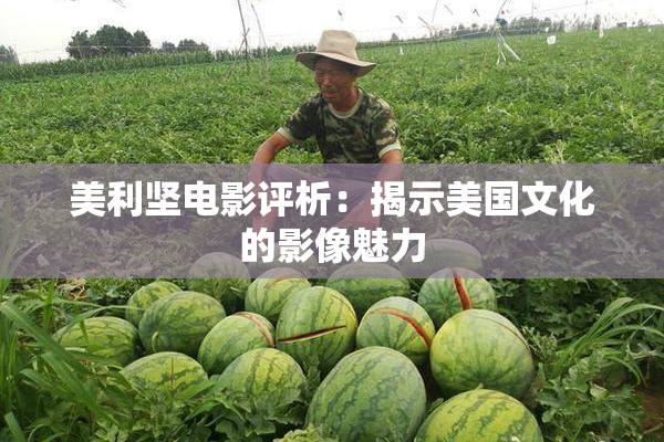 美利坚电影评析：揭示美国文化的影像魅力