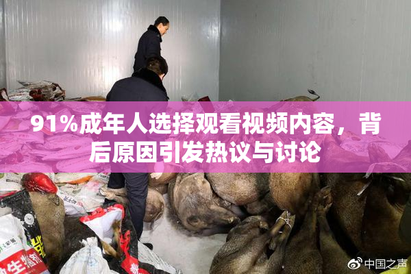 91%成年人选择观看视频内容，背后原因引发热议与讨论