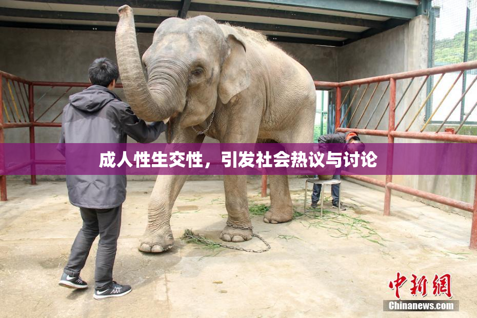 成人性生交性，引发社会热议与讨论