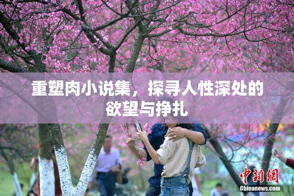 重塑肉小说集，探寻人性深处的欲望与挣扎