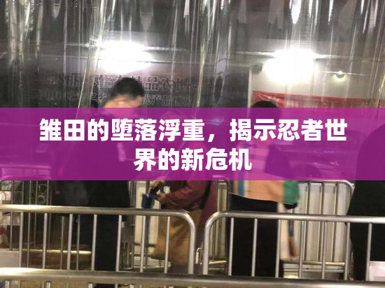 雏田的堕落浮重，揭示忍者世界的新危机