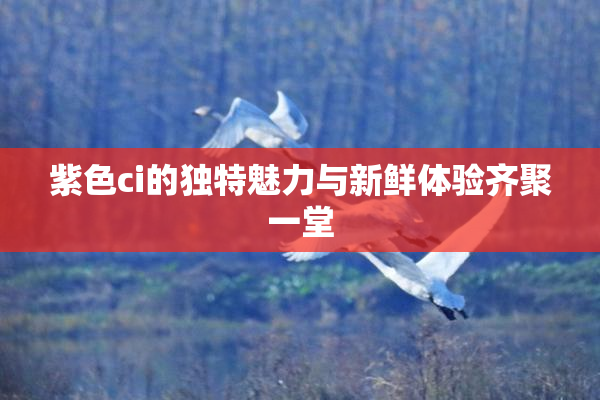 紫色ci的独特魅力与新鲜体验齐聚一堂