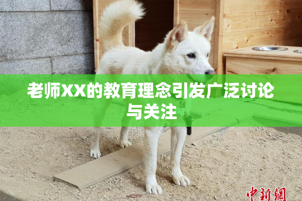 老师XX的教育理念引发广泛讨论与关注