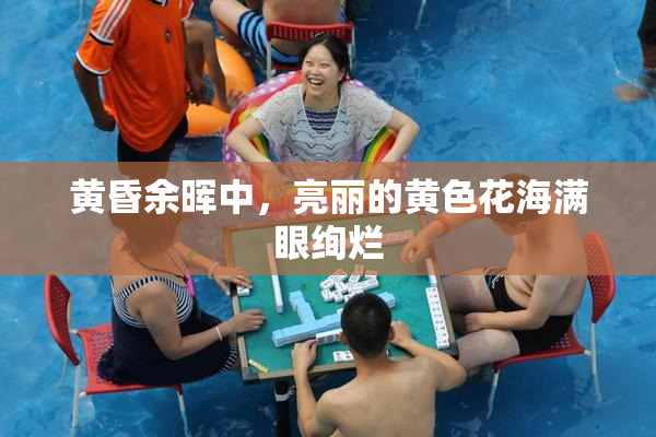 黄昏余晖中，亮丽的黄色花海满眼绚烂